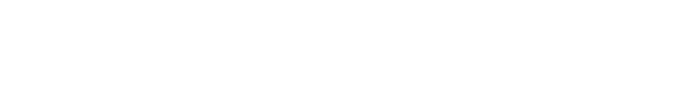 SIMULACRO